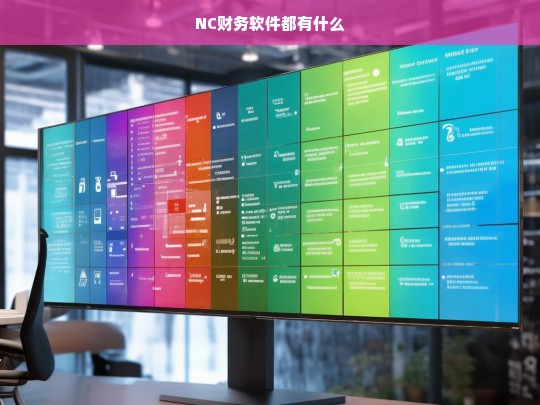 NC财务软件的主要功能与特点解析