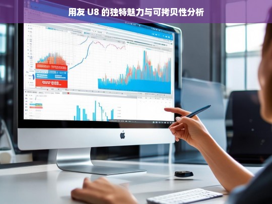 用友 U8 的独特魅力与可拷贝性分析，用友 U8 的独特魅力与可拷贝性探究