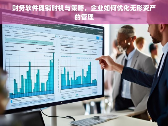 企业无形资产优化管理，财务软件摊销时机与策略解析