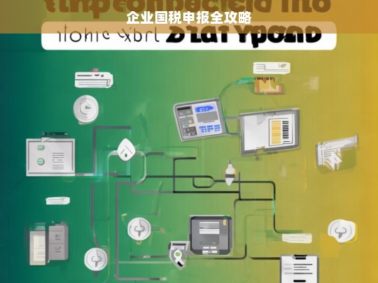 企业国税申报全攻略，企业国税申报指南