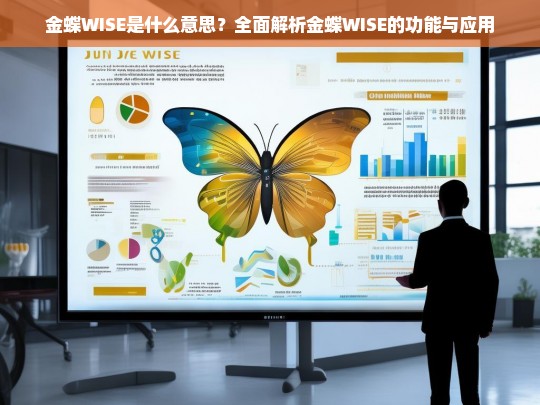 金蝶WISE全面解析，功能与应用详解