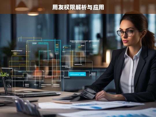 用友权限解析与应用，用友权限解析与应用，探究与实践