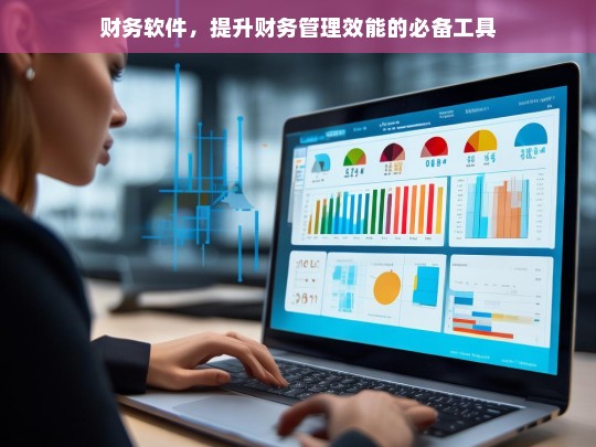 财务软件，提升财务管理效能的必备工具，财务软件，财务管理效能提升之必备