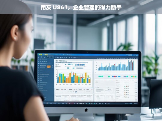 用友 U861，企业管理的得力助手，用友 U861，企业管理的得力助手