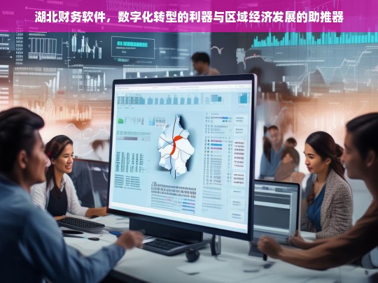 湖北财务软件，数字化转型利器与区域经济发展助推器