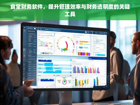 食堂财务软件，提升管理效率与财务透明度的关键工具