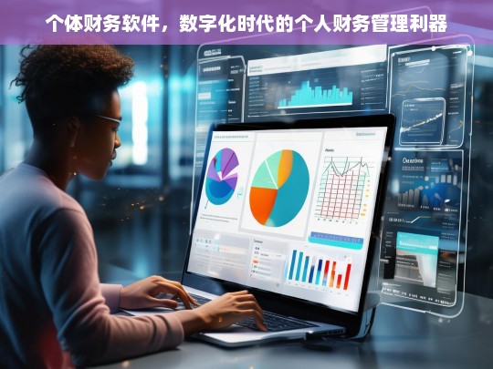 数字化时代必备，个体财务软件，轻松管理个人财富