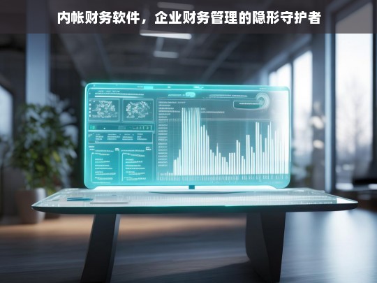 内帐财务软件，企业财务管理的隐形守护者