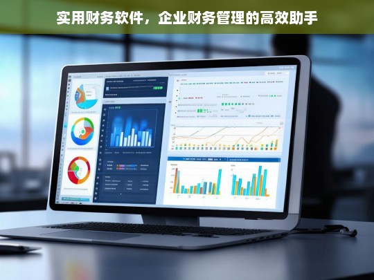 实用财务软件，企业财务管理的效率提升利器