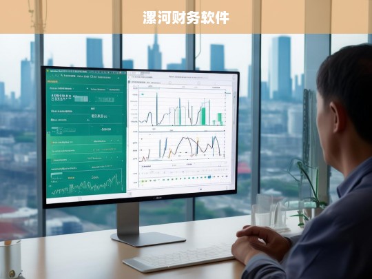 漯河财务软件，提升企业财务管理效率的智能解决方案