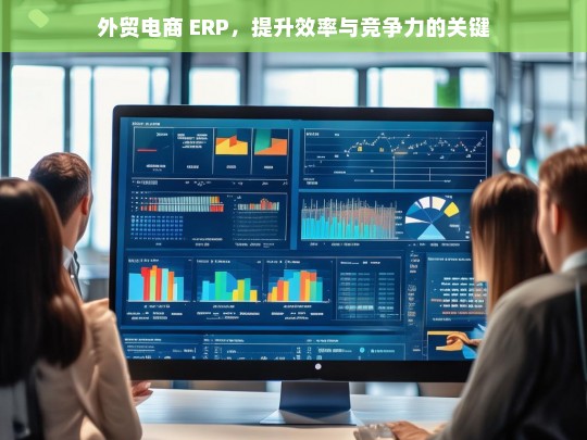 外贸电商 ERP，提升效率与竞争力的关键，外贸电商 ERP，效率与竞争力提升之钥